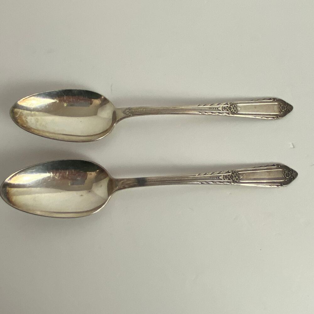 Wm Rogers COTILLION International Silver Plate IS Lot Of 2 Serving Spoons